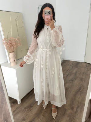 Zara dress with details