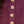 Seren knit set with gold buttons