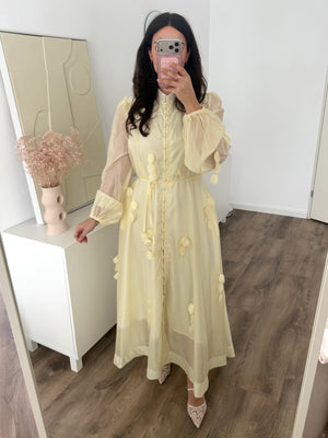 Zara dress with details