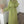 Lina premium dress with rhinestones